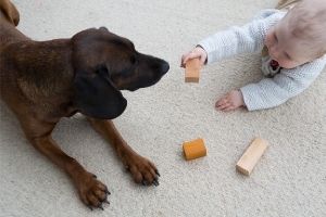 Weg mit dem Spielparadies