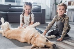 Kinderbesuch mit Hund