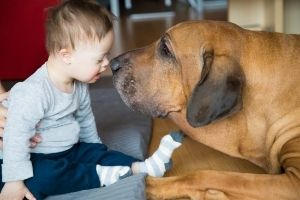 Hund und Baby 
