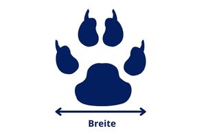 Blogbeitrag: Hot Spot beim Hund Lernpfote e. V.