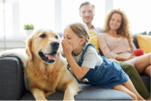 Lernpfote e. V. Blogbeitrag: Kind und Hund - Teil 2 - Regeln für ein stressfreies Miteinander