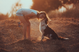 Lernpfote; Glücklicher Hund.