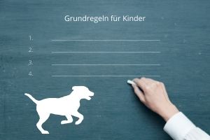 14 Grundregeln für Kinder im Umgang mit dem Hund