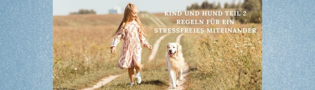 Lernpfote e. V. Blogbeitrag: Kind und Hund - Teil 2 - Regeln für ein stressfreies Miteinander