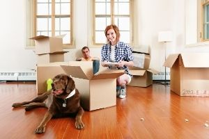 Lernpfote e. V. - Blogbeitrag: Umzug mit Hund