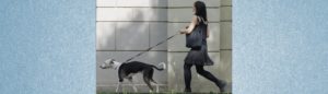 Leinenführung beim Hund