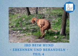 Podcast-Folge 082: IBD beim Hund - erkennen und behandeln - Teil 4 Lernpfote e. V.