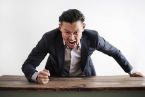 Leinenführung - Führst du schon oder folgst du noch?