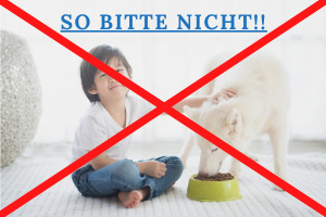 Lernpfote e. V. Blogbeitrag: Kind und Hund - Teil 2 - Regeln für ein stressfreies Miteinander