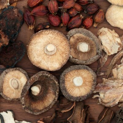 Blog Beitagsseite Mykotherapie Heilpilze Lernpfote e. V. Blog Beitagsseite Mykotherapie Heilpilze