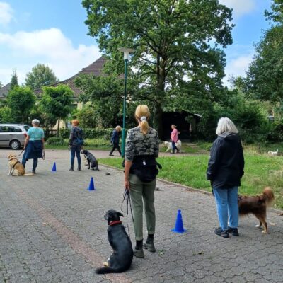 Seite Preise Hundetraining Gruppentraining Lernpfote e. V. Seite Preise Hundetraining Gruppentraining