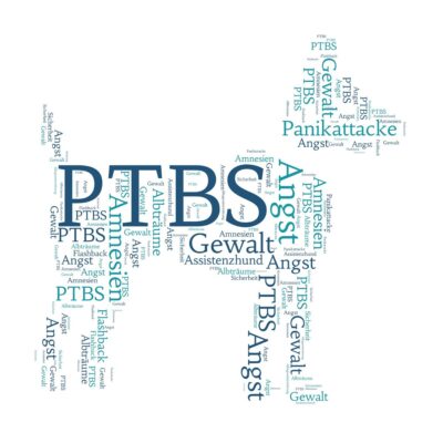 Seite Assistenzhunde PTBS Assistenzhund Was kann er tun Lernpfote e. V. Seite Assistenzhunde PTBS Assistenzhund Was kann er tun