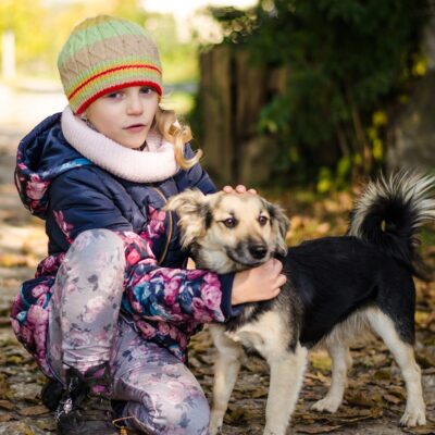 Seite Auslandshunde Training wo es drauf ankommt Lernpfote e. V. Seite Auslandshunde Training wo es drauf ankommt