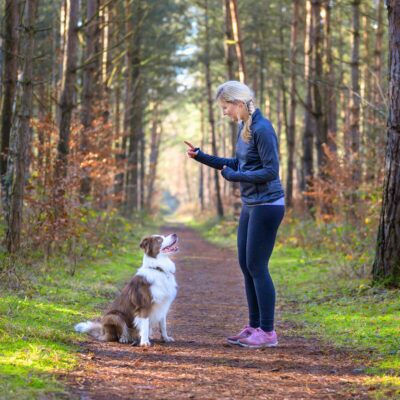 Seite Hundetraining 1:1 Einzeltraining Lernpfote e. V. Seite Hundetraining 1:1 Einzeltraining