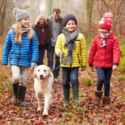 Seite Hundetraining FamilyDog Ausbildung Lernpfote e. V. Seite Hundetraining FamilyDog Ausbildung