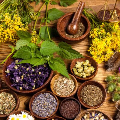 Seite Tierheilpraxis Phytotherapie Heilpflanzen Lernpfote e. V. Seite Tierheilpraxis Phytotherapie Heilpflanzen