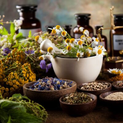 Seite Tierheilpraxis Phytotherapie Heilpflanzen Lernpfote e. V. Seite Tierheilpraxis Phytotherapie Heilpflanzen