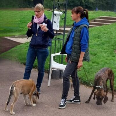 Seite Über uns Dozententätigkeit Lernpfote e. V. Seite Über uns Dozententätigkeit