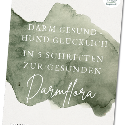 eBook gesunde Darmflora beim Hund – gesunder Hund – kostenlos gratis herunterladen Lernpfote e. V. eBook gesunde Darmflora beim Hund - gesunder Hund - kostenlos gratis herunterladen